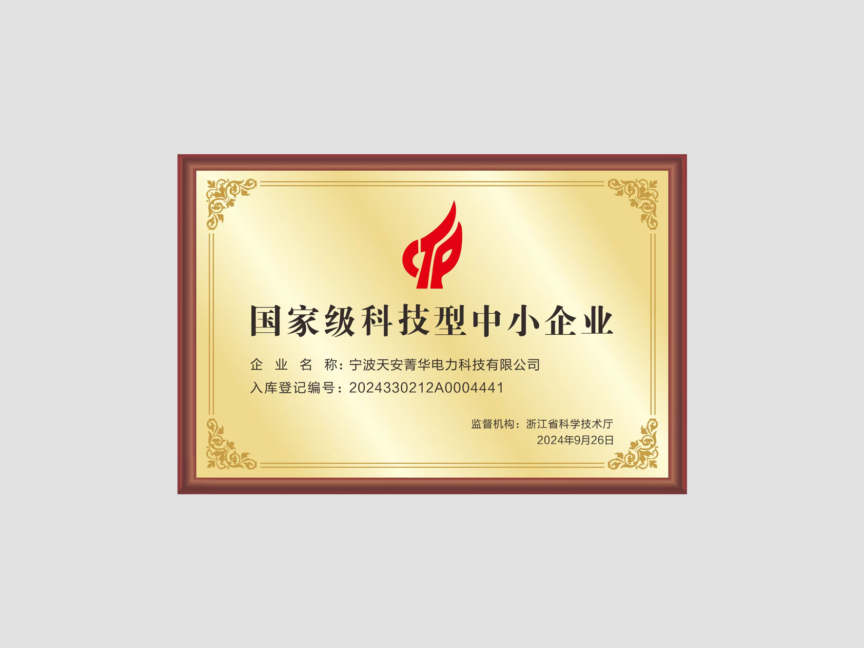 國(guó)家級(jí)科技型中小企業(yè)